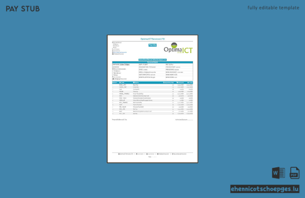 Gehaltsabrechnungsbeispiel von India Optima ICT Services LTD